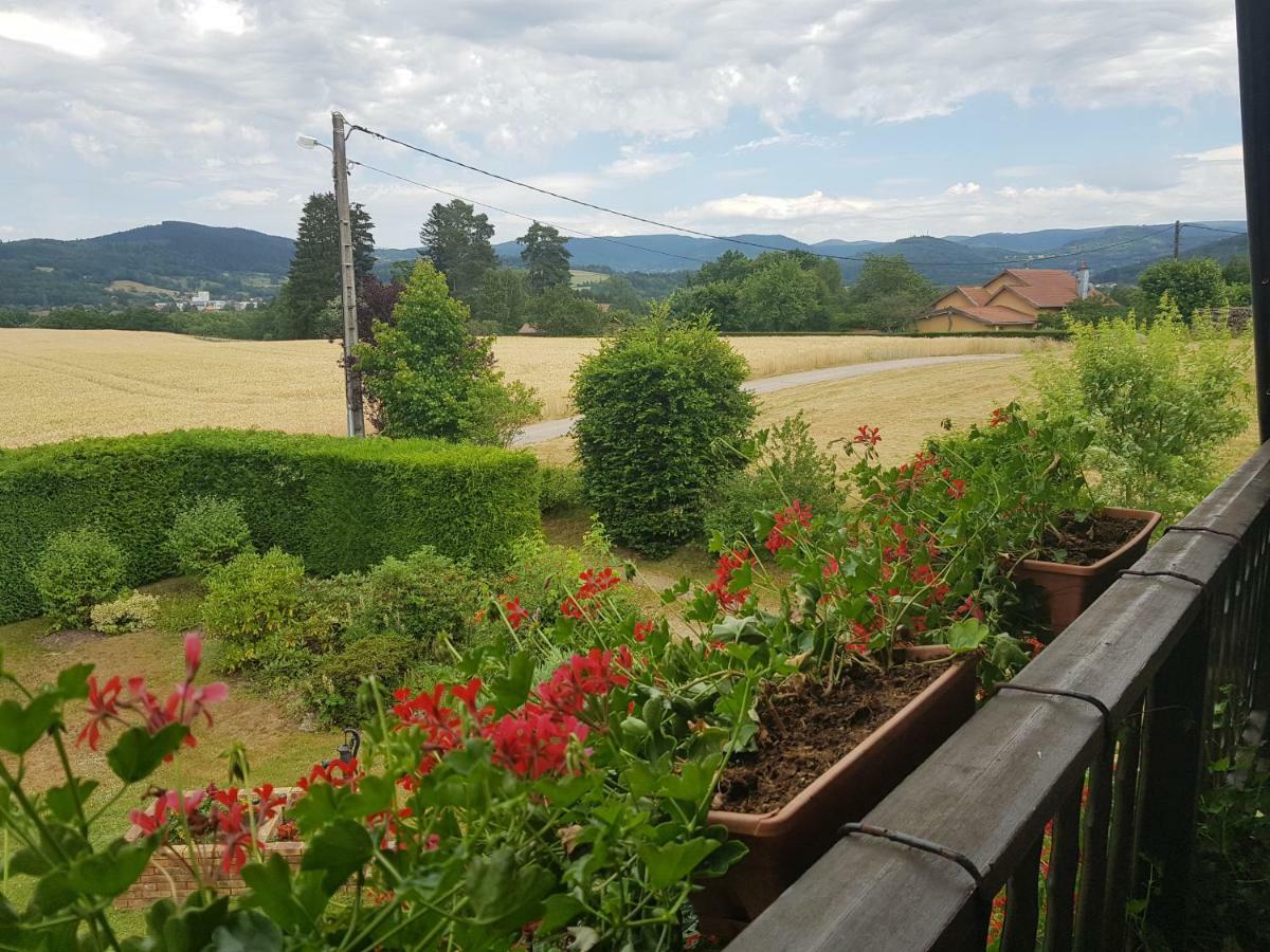 Le Clos Des Aulnes Anould Exterior photo
